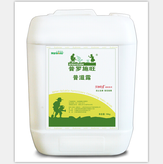 ���_ʩ������¶