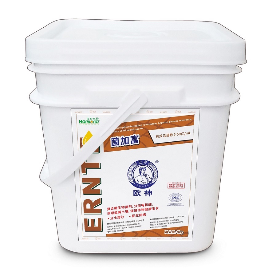 �W����Ӹ�