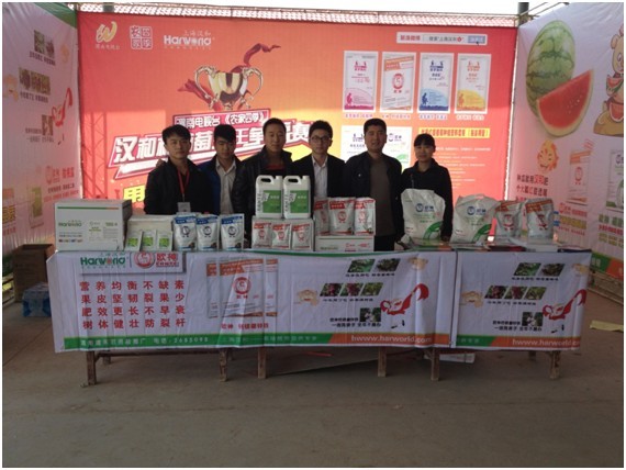 �Ϻ��h�͹����ˆT�c������顪��μ�ϵ��̹�˾�����ˆT��Ӱ